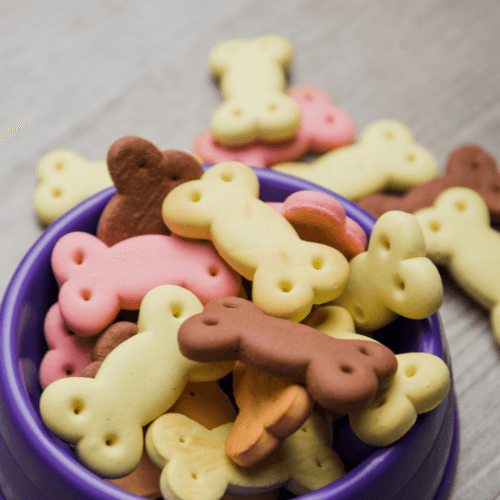 Healthy Homemade Dog Treats: Recipes Your Pup Will Love - Barking Calm Dog