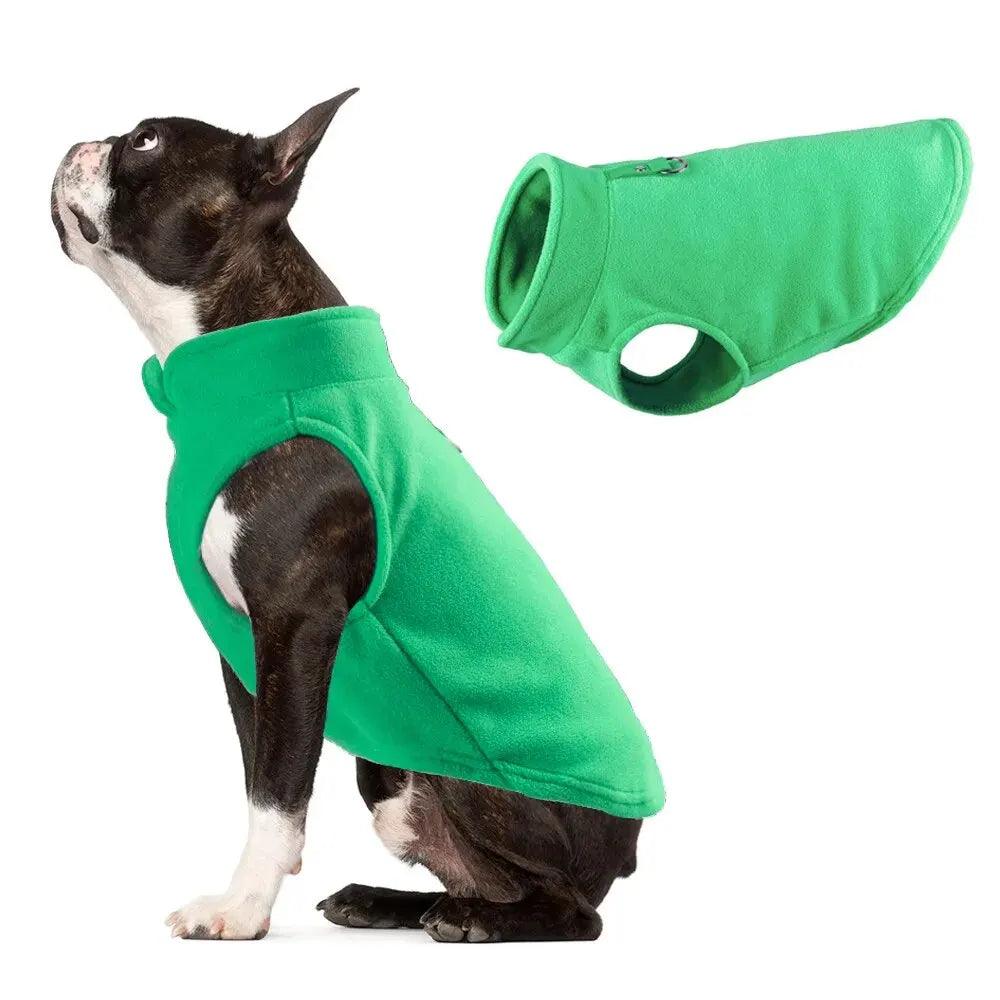 dog coat