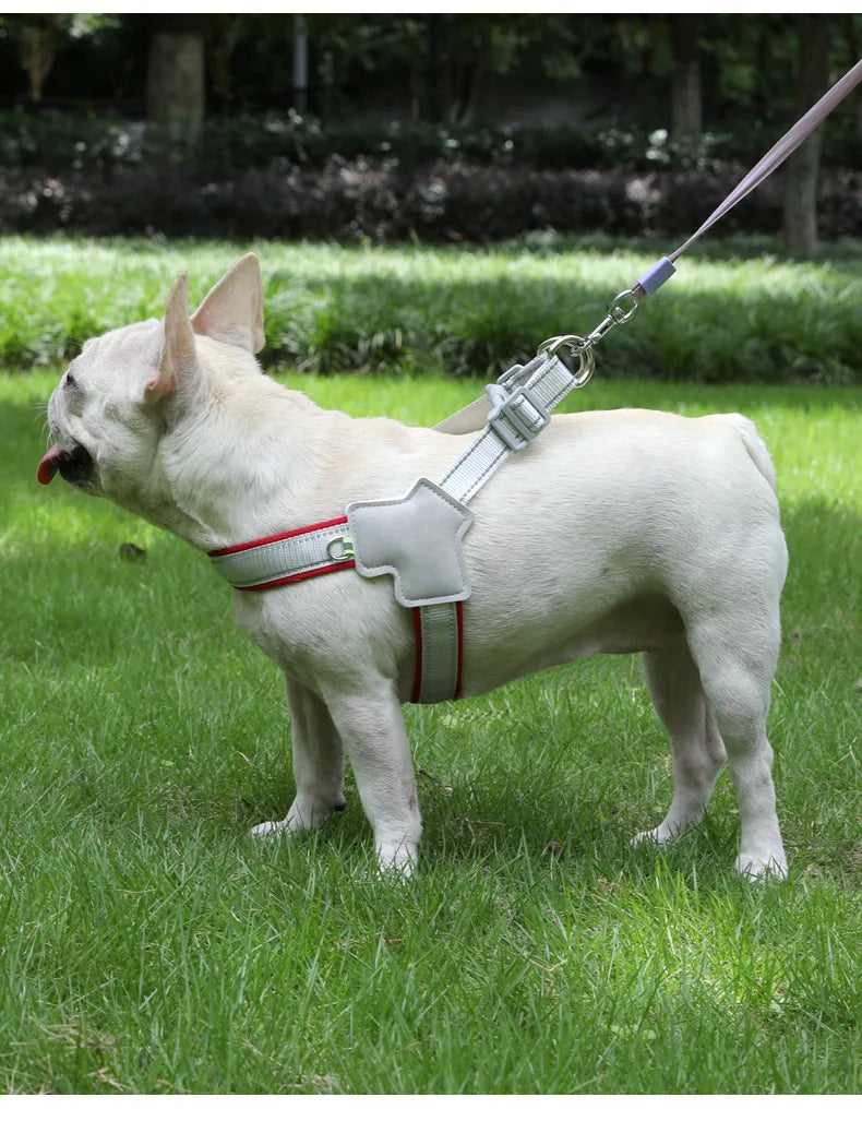 dog harness