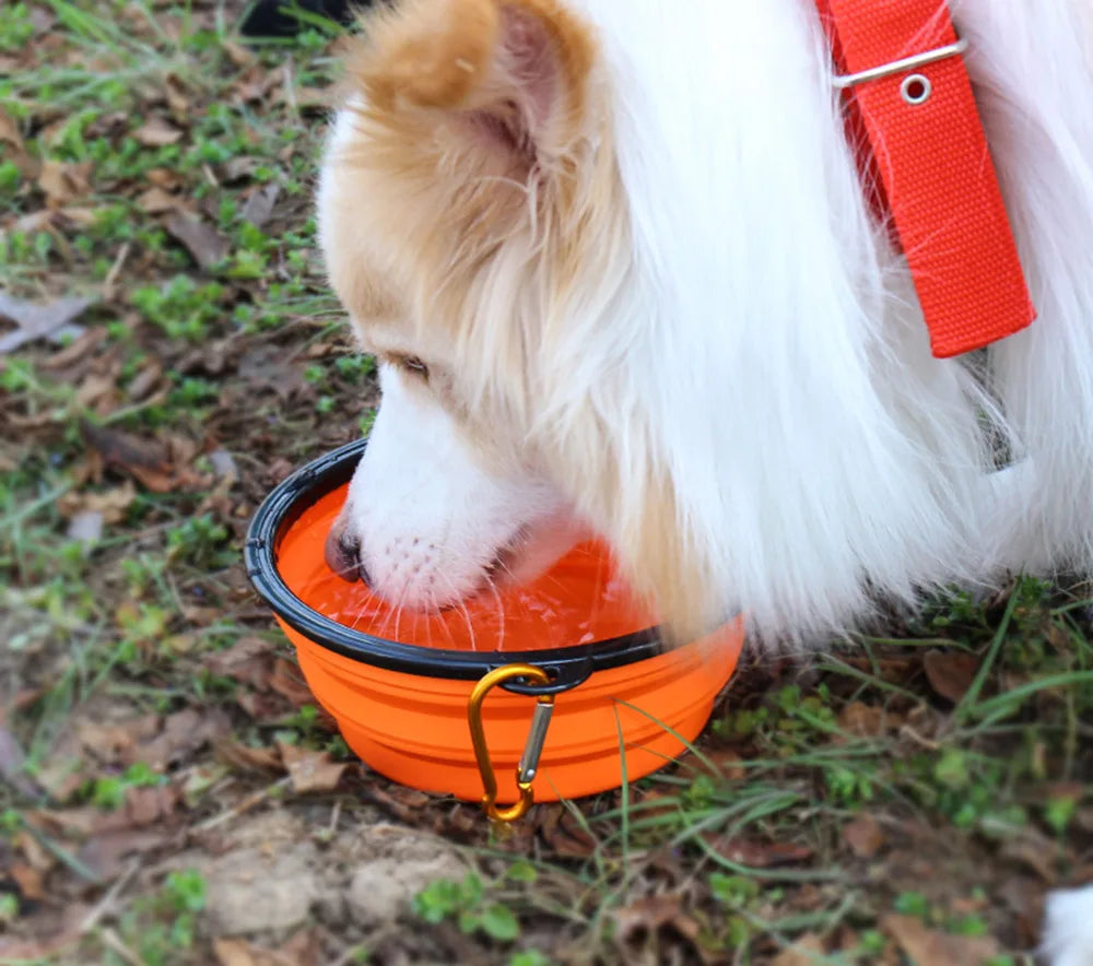 Dog Portable Food Water Bowl for Outdoor Camping Travel.