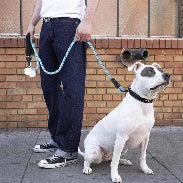 Dog Leashes for Walking, Running, Jogging