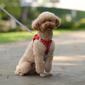 Dog Harness Leash for Outdoor Walking - Barking Calm Dog