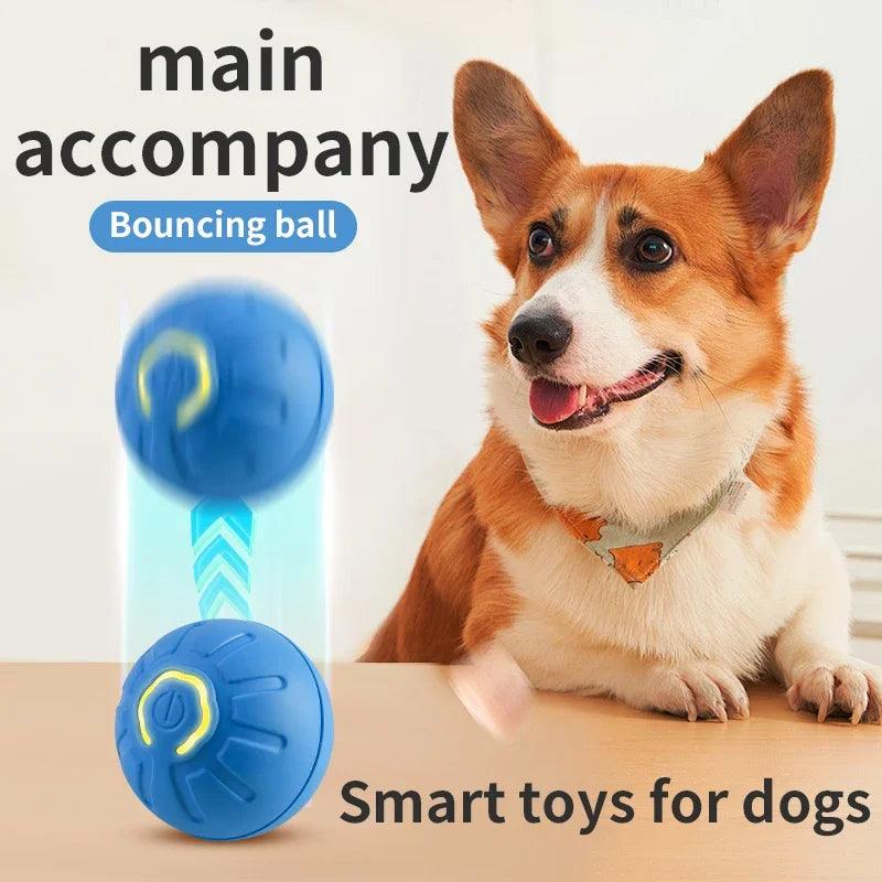 Dog playing Toy Automatic Moving - Barking Calm Dog