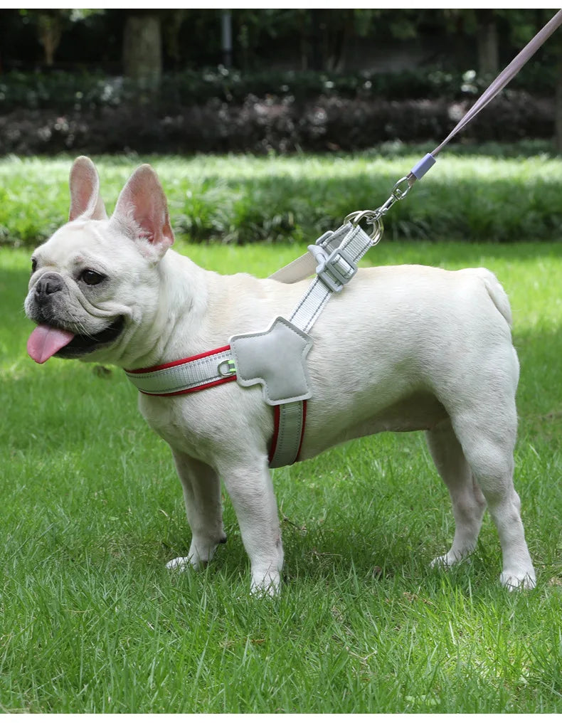 Dog harness for small dogs