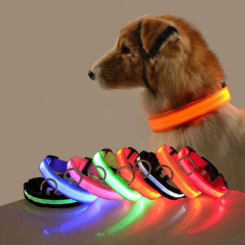 LED Dog collar for Safe Night Walks