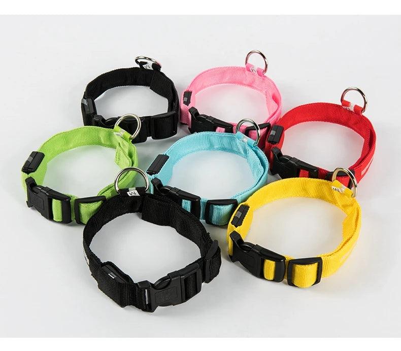 LED Dog collar for Safe Night Walks