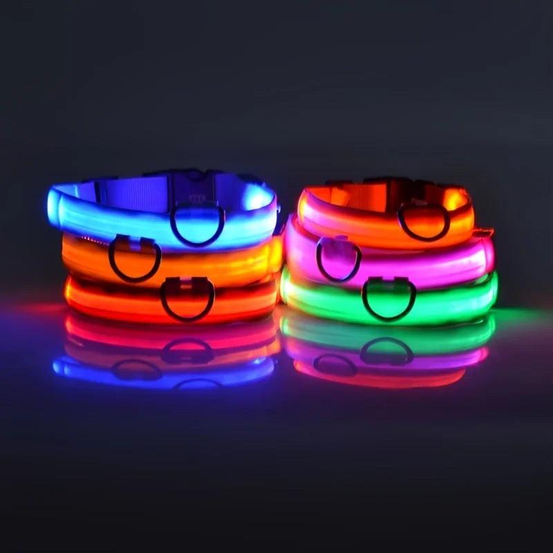 LED Dog collar for Safe Night Walks