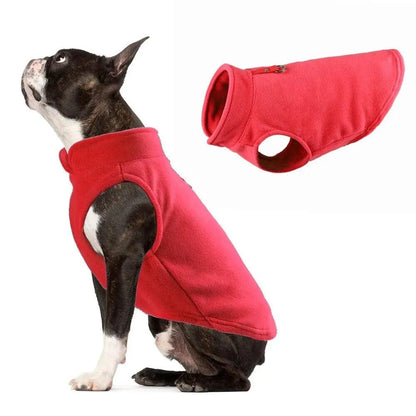 dog coats for small dog || coat for dog