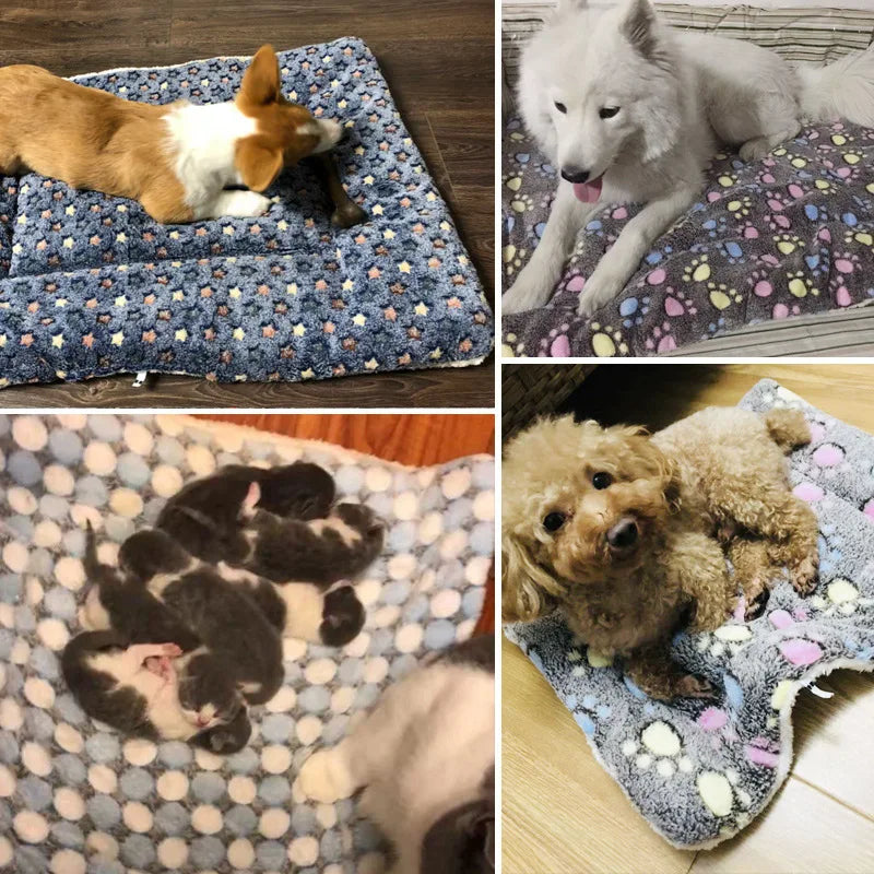 custom dog blanket || dog blankets