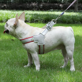 Dog harness for small dogs