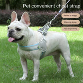 small dog harness